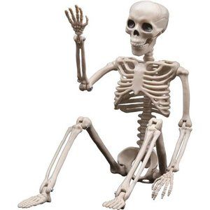 Halloween Skeletons Decorations 16" Posable Plastic Skeleton, Full Body Skeleton